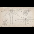 Thumbnail for version as of 02:31, 11 May 2021