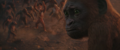 Thumbnail for version as of 21:36, 21 May 2024