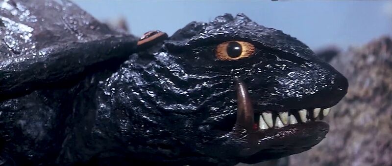 File:Gamera vs. Viras - Gamera under the effects of the Brainwave Control Device.jpeg