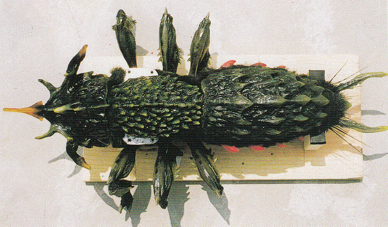 File:G19040.jpg