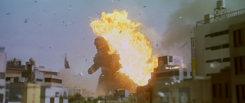 File:Godzilla vs. Megaguirus - Griffon commits suicide.png