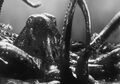 Thumbnail for version as of 16:20, 9 September 2023