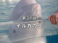 Thumbnail for version as of 04:46, 1 February 2022