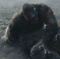 Thumbnail for version as of 21:33, 10 June 2024