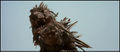 Thumbnail for version as of 05:13, 22 August 2016