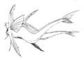 Thumbnail for version as of 23:28, 5 July 2016