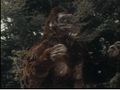 Thumbnail for version as of 23:28, 7 July 2016