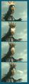 Thumbnail for version as of 01:17, 10 May 2020