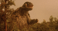 Thumbnail for version as of 05:13, 27 May 2019