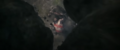 Thumbnail for version as of 00:11, 9 February 2025