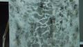 Thumbnail for version as of 23:35, 4 December 2021