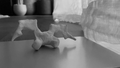 Thumbnail for version as of 15:52, 8 May 2021