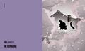 Thumbnail for version as of 17:33, 23 February 2022