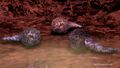 Thumbnail for version as of 17:13, 14 April 2025