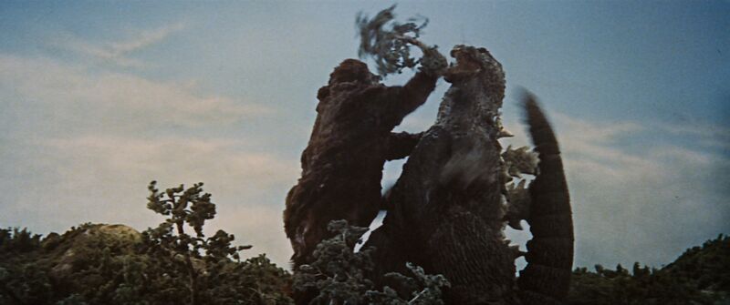 File:Kkg tree gag.jpg