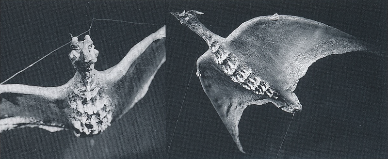 File:Rodan smallest scale flying prop 1.png