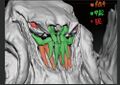 Thumbnail for version as of 02:50, 14 January 2022