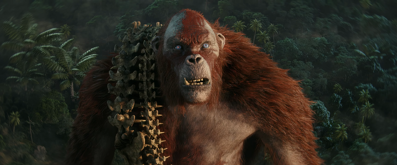 File:469d0160-312c-4794-bdb1-78a37d52f2f2.png
