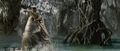 Thumbnail for version as of 21:42, 11 March 2017