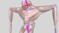 Thumbnail for version as of 03:39, 27 November 2021