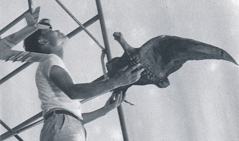 File:Rodan smallest scale flying prop 2.png