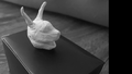 Thumbnail for version as of 15:52, 8 May 2021