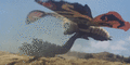 Thumbnail for version as of 21:57, 5 May 2020