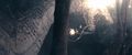 Thumbnail for version as of 13:44, 4 December 2020