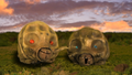 Thumbnail for version as of 15:14, 29 June 2020