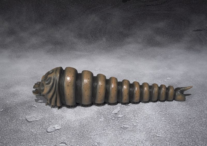 File:SHMA HeiseiMosuLarva 3.jpg