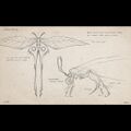Thumbnail for version as of 02:31, 11 May 2021