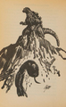 Thumbnail for version as of 02:04, 1 February 2025