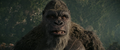Thumbnail for version as of 00:39, 20 March 2024