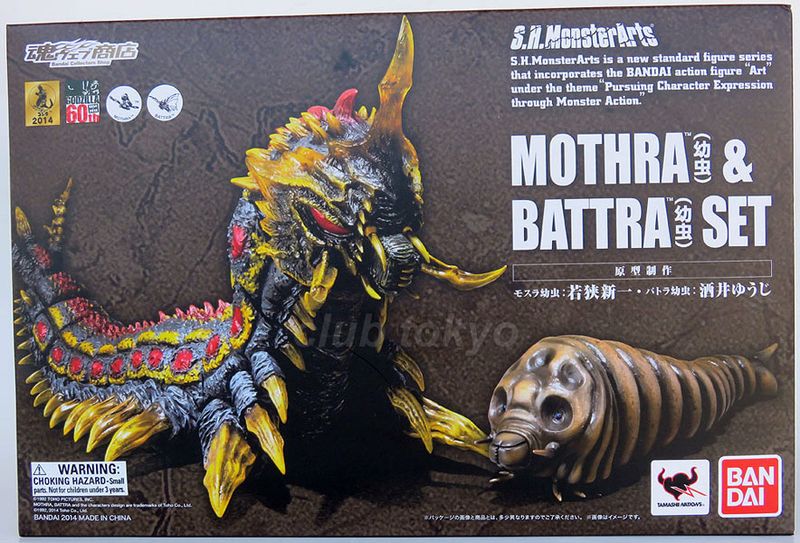 File:SHMA larva set box.jpeg