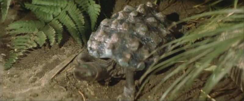 File:Space Amoeba - Mata mata turtle appears.png