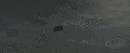 Thumbnail for version as of 08:24, 8 September 2021