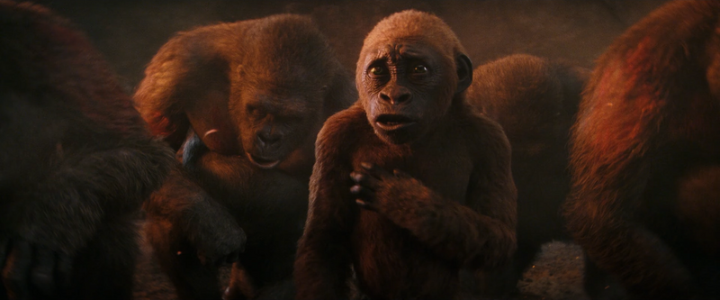 File:GxK - Suko and Apes.png