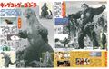 Thumbnail for version as of 20:13, 1 January 2021