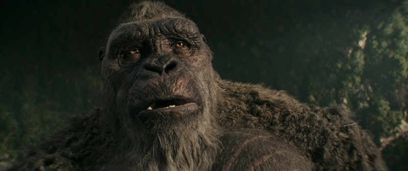 File:GxK - Dizzy Kong.png