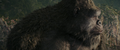 Thumbnail for version as of 00:39, 20 March 2024