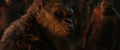 Thumbnail for version as of 19:03, 14 February 2024