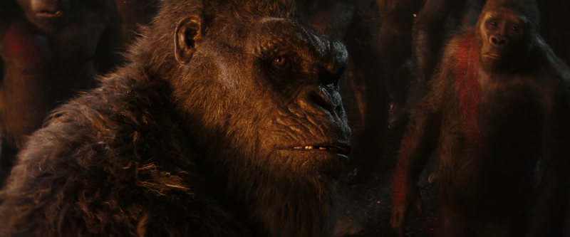 File:GxK - Kong and Apes 2.png