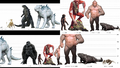 Thumbnail for version as of 19:09, 12 May 2024