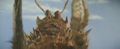 Thumbnail for version as of 19:12, 23 July 2016