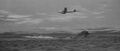 Thumbnail for version as of 20:15, 28 January 2025