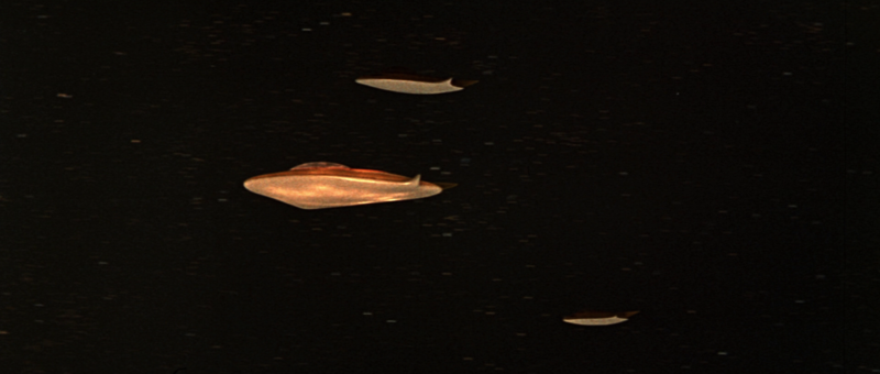 File:Natarl UFOs.png