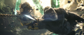 Thumbnail for version as of 00:15, 6 June 2024