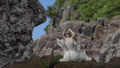 Thumbnail for version as of 13:50, 6 November 2023