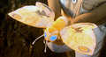 Thumbnail for version as of 22:35, 5 July 2016