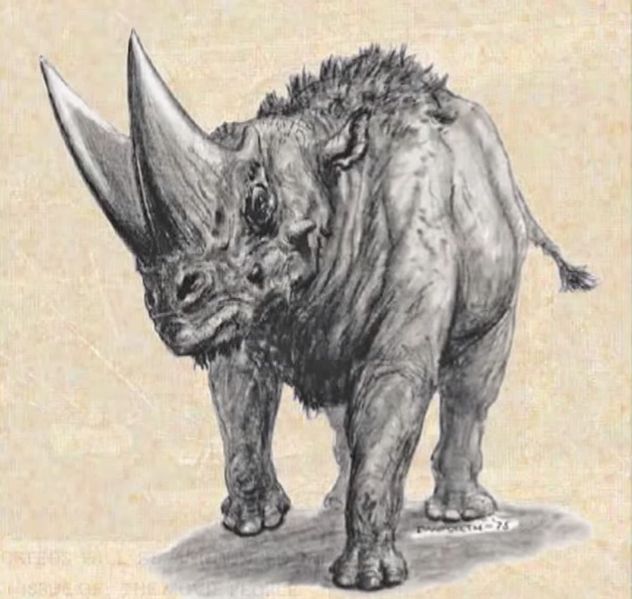 File:RhinoLegendOfKingKong02.jpeg